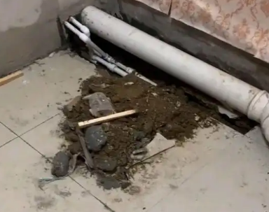 龙里卫生间漏水检测哪家好